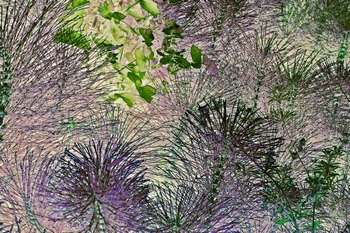 N 077F
